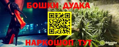 PSILOCYBIN Азнакаево