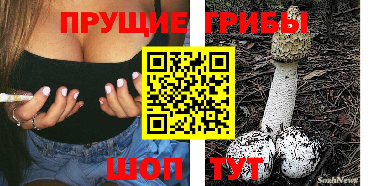 Галлюциногенные грибы MAGIC MUSHROOMS  Вход с VPN  Анапа 